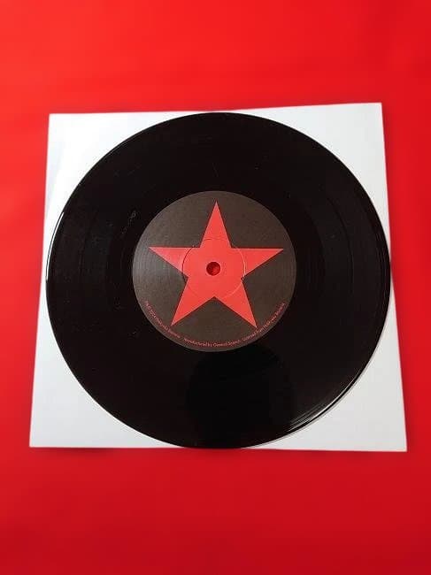 THE STALIN/2枚！ANSWER1981+首からアツ未使用/遠藤ミチロウ