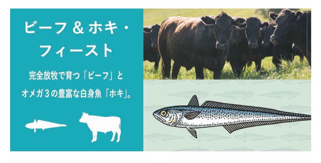 K9ナチュラルビーフ＆ホキ(白身魚)・フィースト 3.6kg 犬用フリーズドライ
