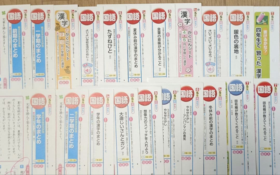 国語　小学校５年生　カラーテスト