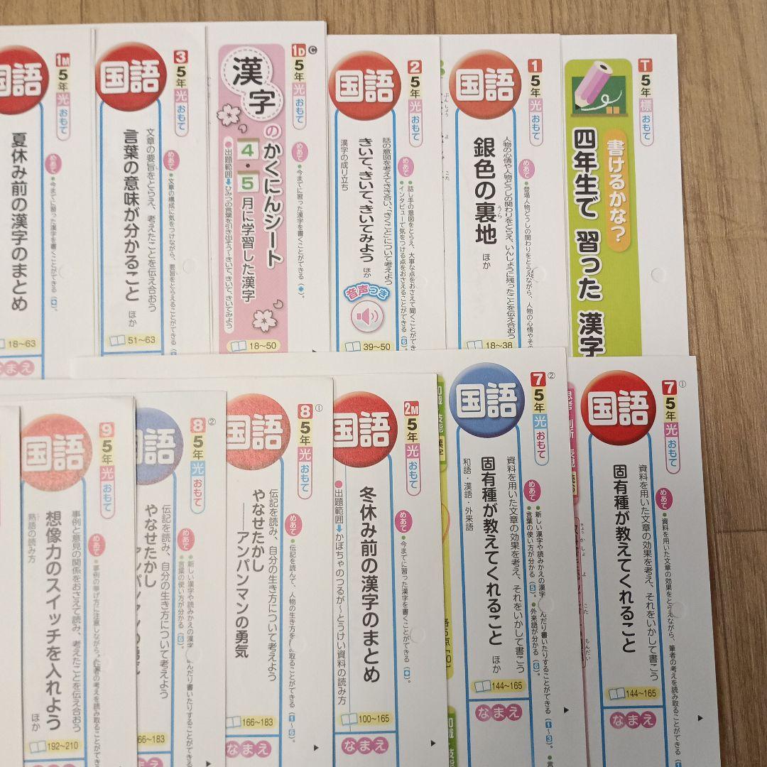 国語　小学校５年生　カラーテスト