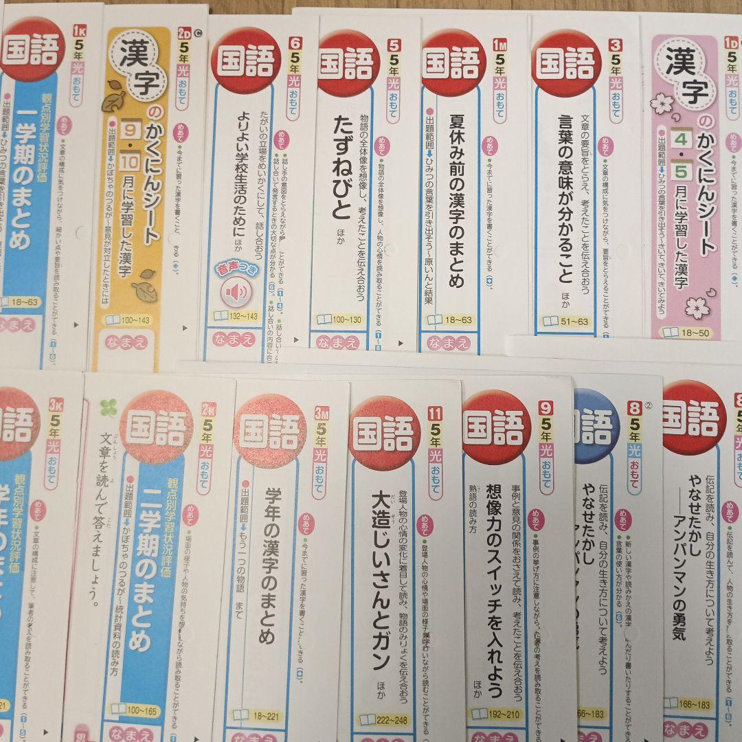 国語　小学校５年生　カラーテスト