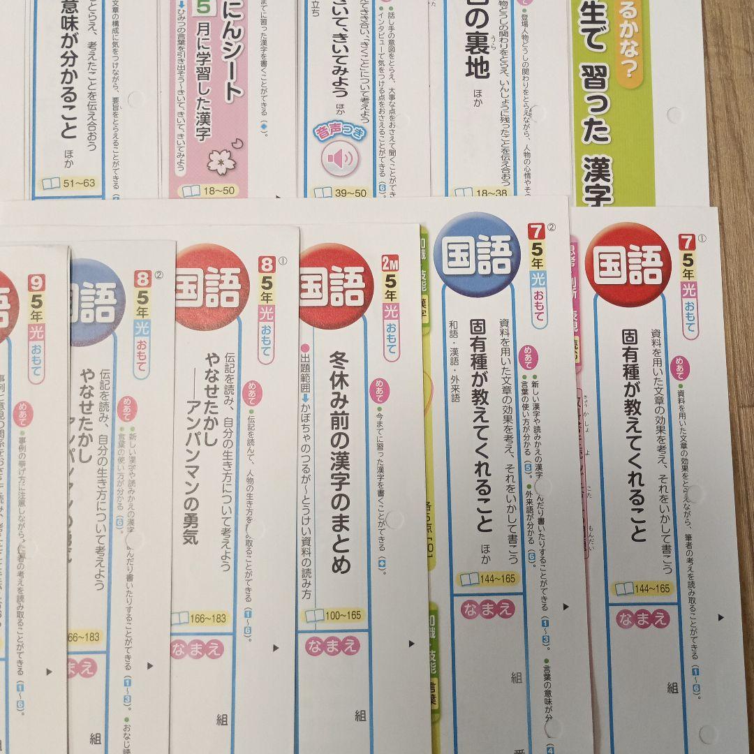 国語　小学校５年生　カラーテスト