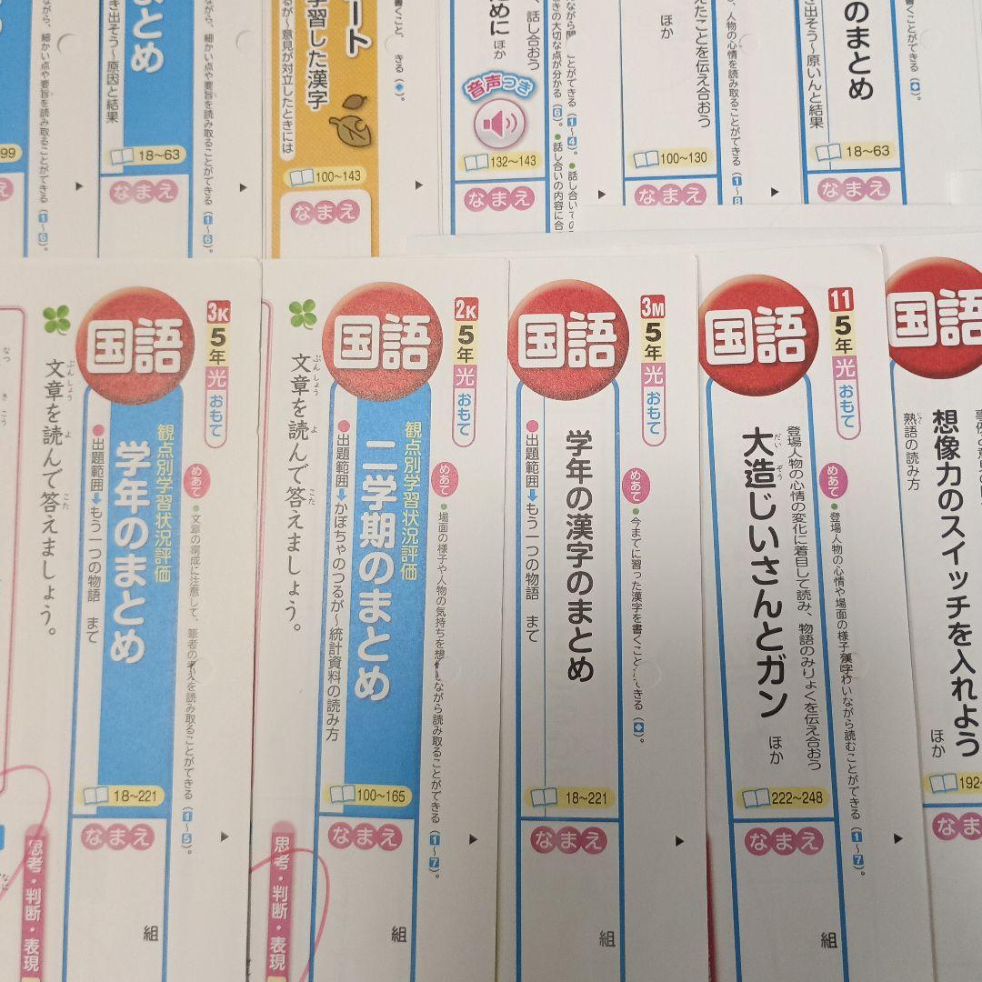 国語　小学校５年生　カラーテスト