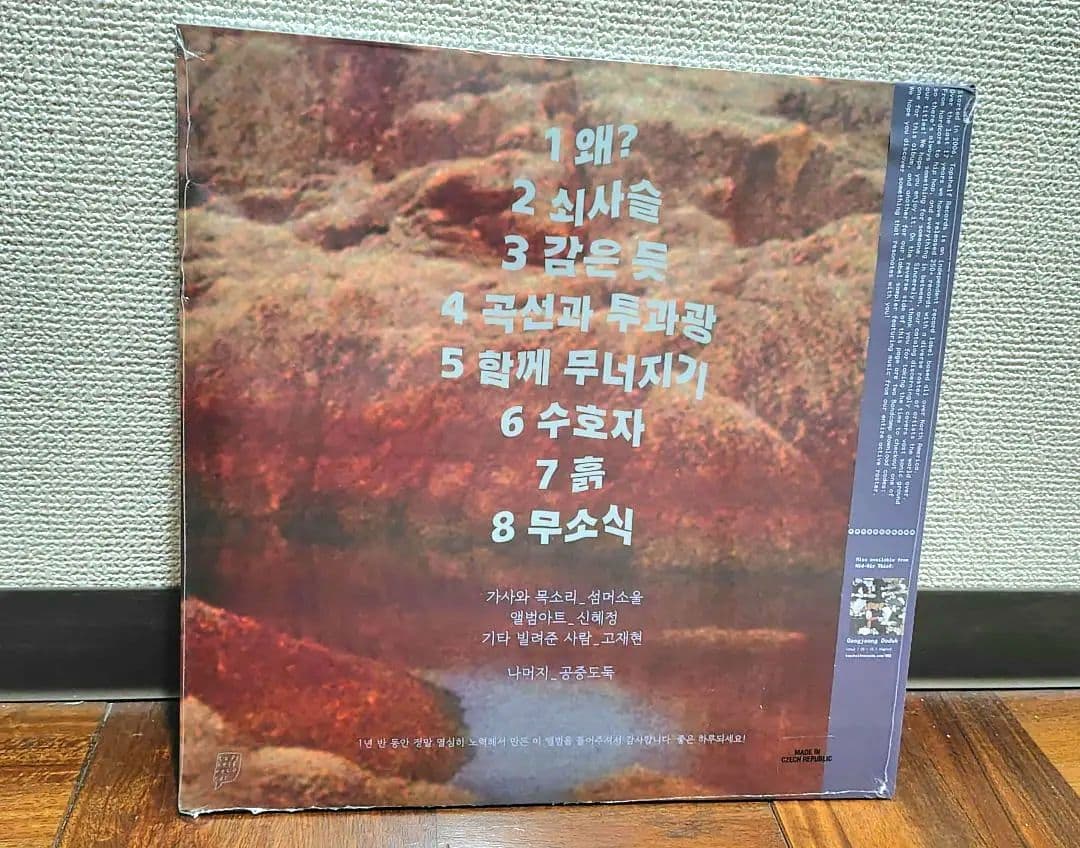 空中泥棒 mid-air thief『Crumbling』レコード レア