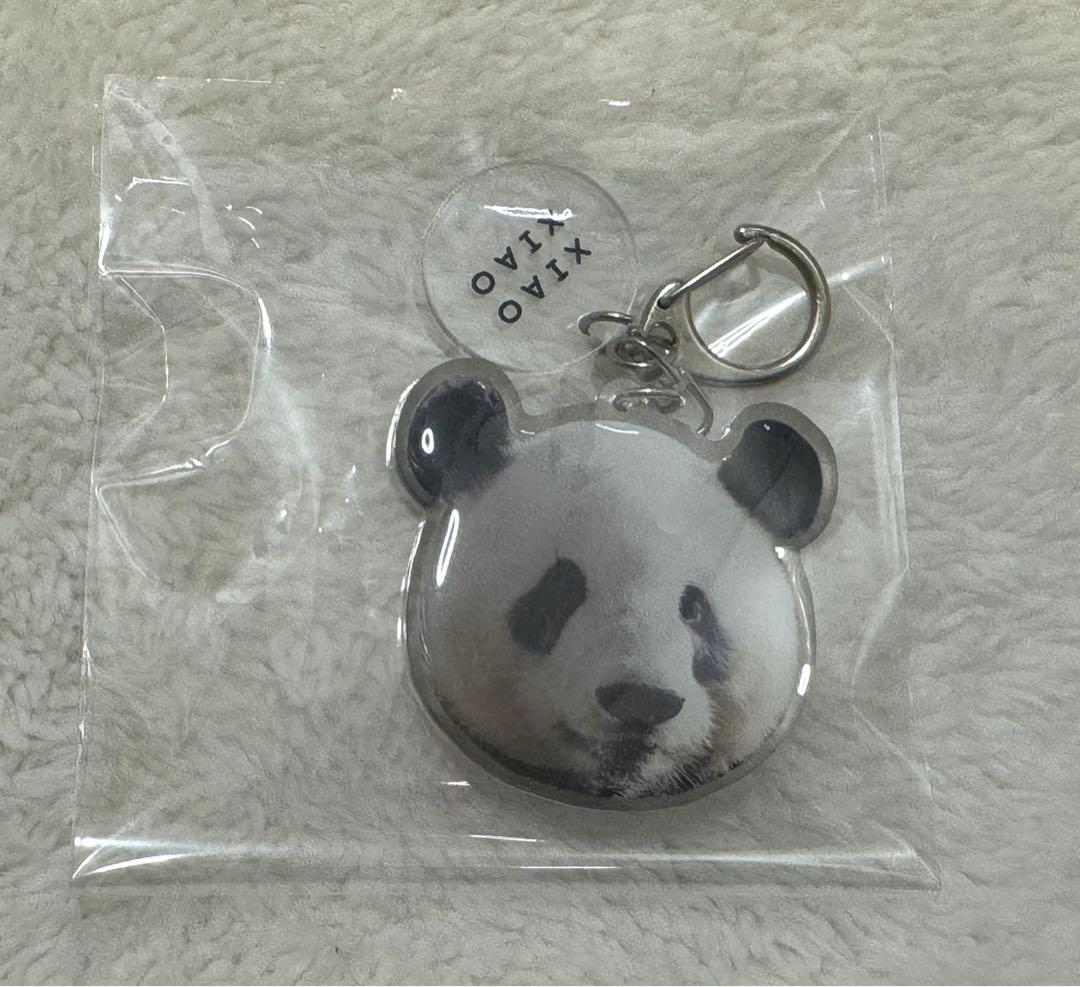 上野 パンダ 春節祭 ガチャ キーホルダー シャオシャオ レイレイ 暁暁 蕾蕾