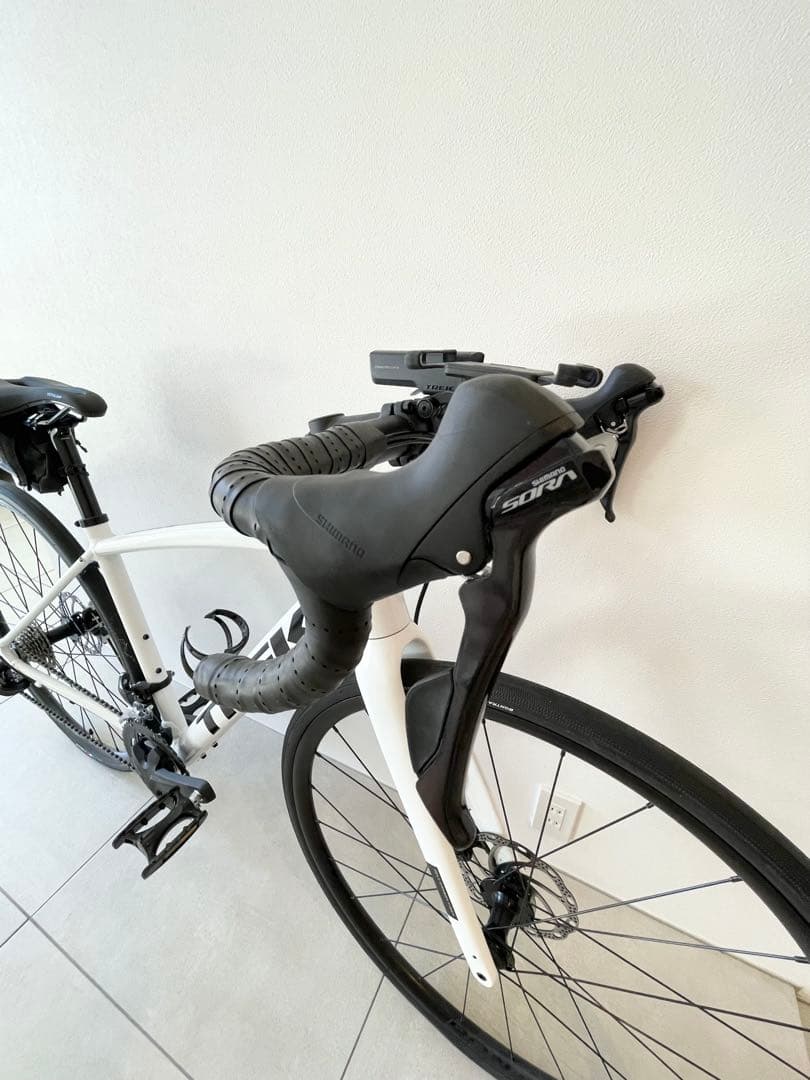 い*と様 【ほぼ新品・付属品多数】TREK DOMANE AL3 サイズ49 ホ