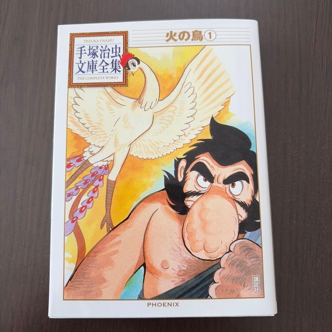 【ぷひゅれさん専用】手塚治虫 文庫全集 火の鳥 全10冊（4巻欠品・状態良好）