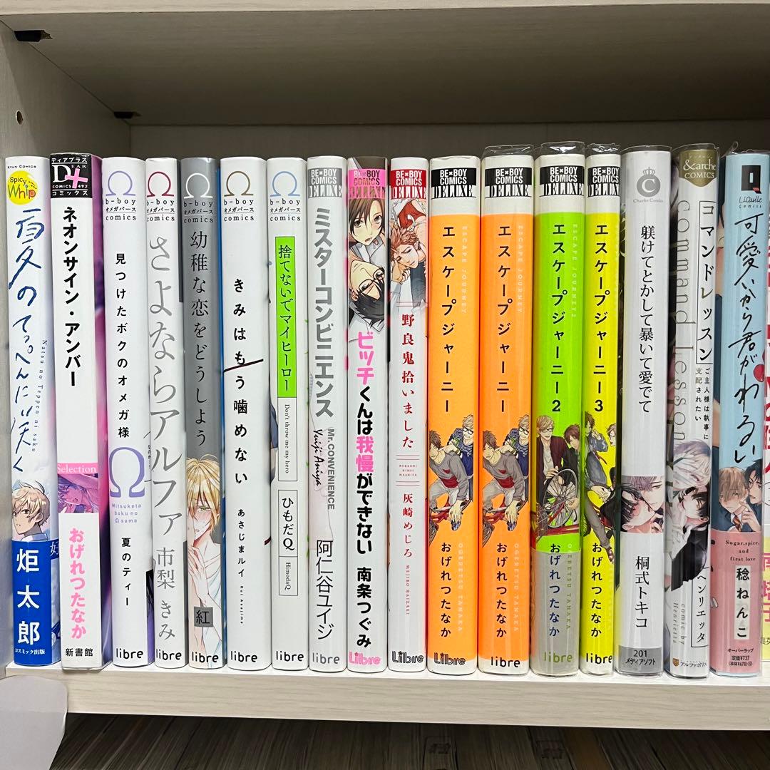 1冊100円 BL 65冊セット ナカまであいして 獄寺さん ピンクハートジャム