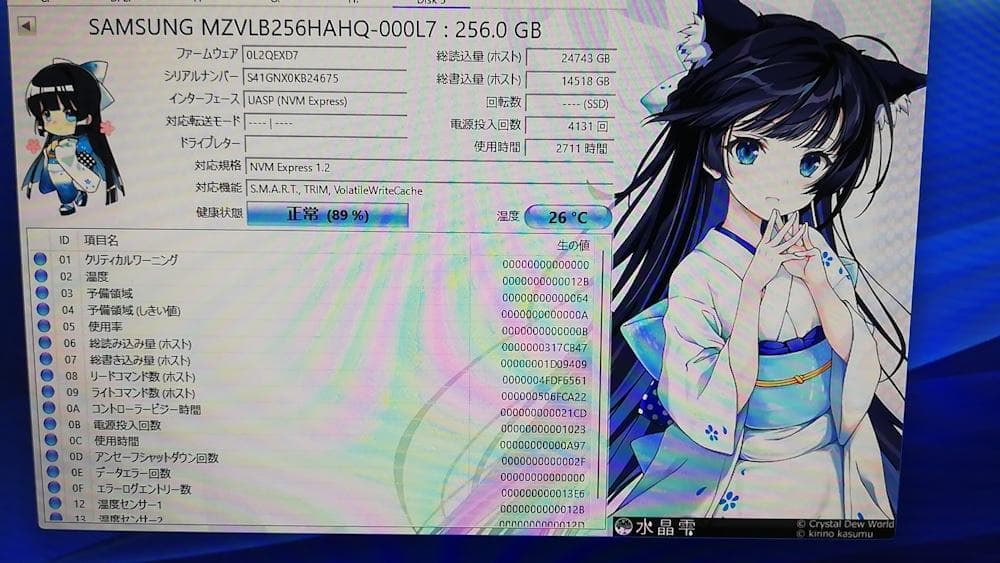 Samsung MZVLB256HAHQ-000L7 256GB SSD 3枚組
