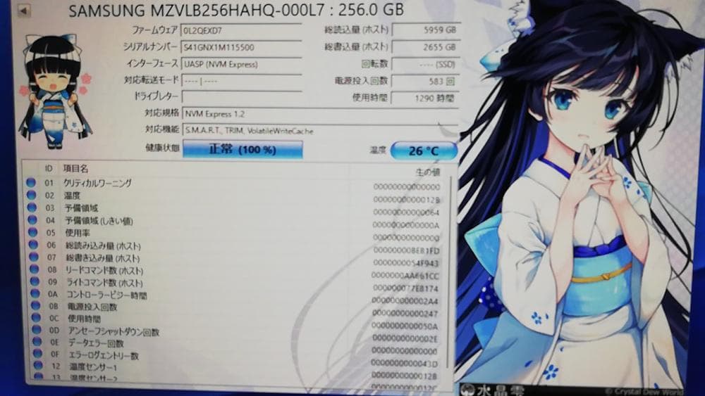 Samsung MZVLB256HAHQ-000L7 256GB SSD 3枚組
