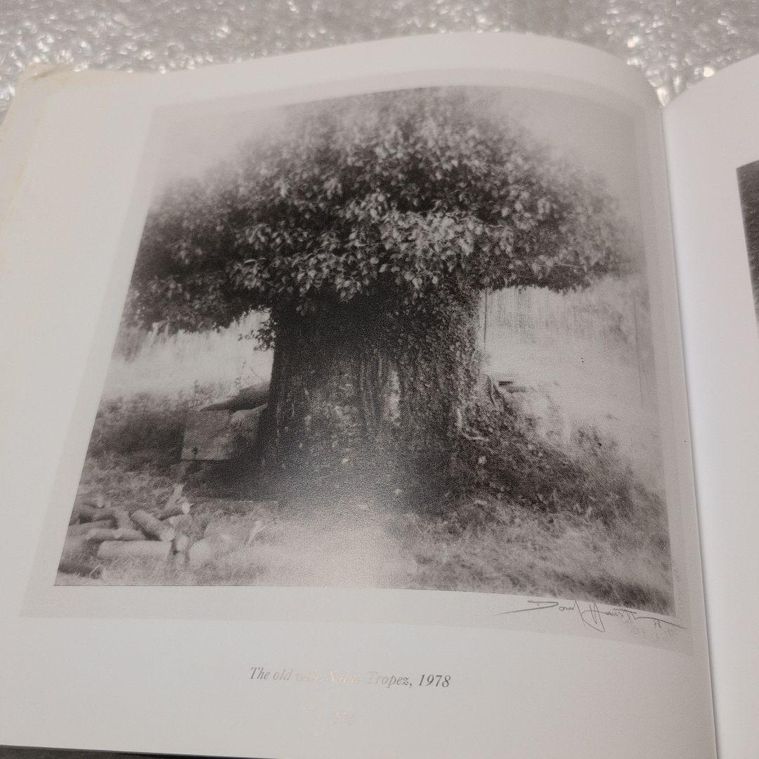 David Hamilton Twenty Five Years of 〜