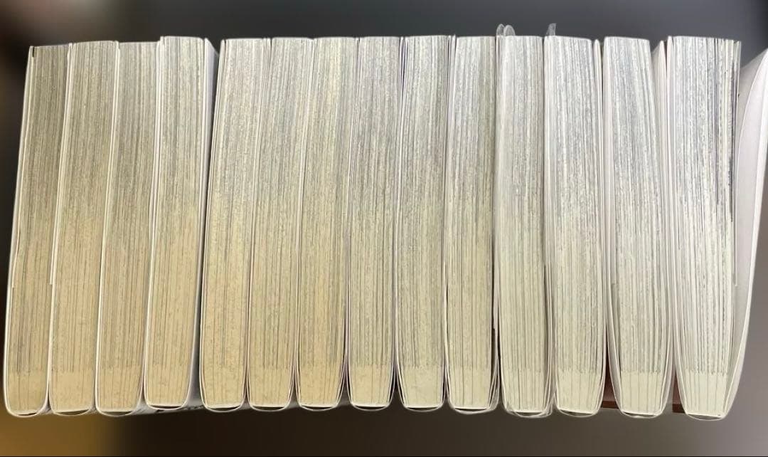 らーめん再遊記　1-14巻　既刊全巻セット