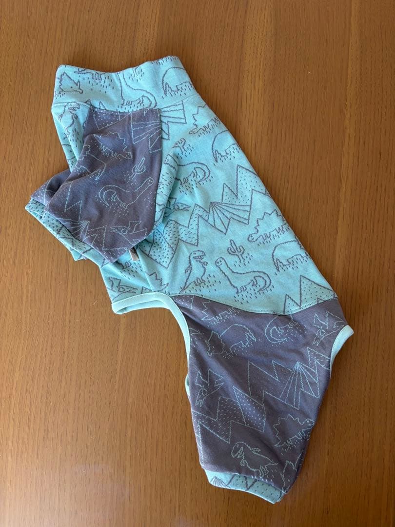 ダッシュくん専用です