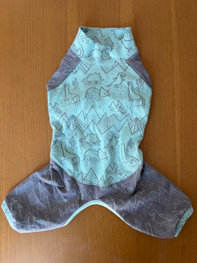 ダッシュくん専用です