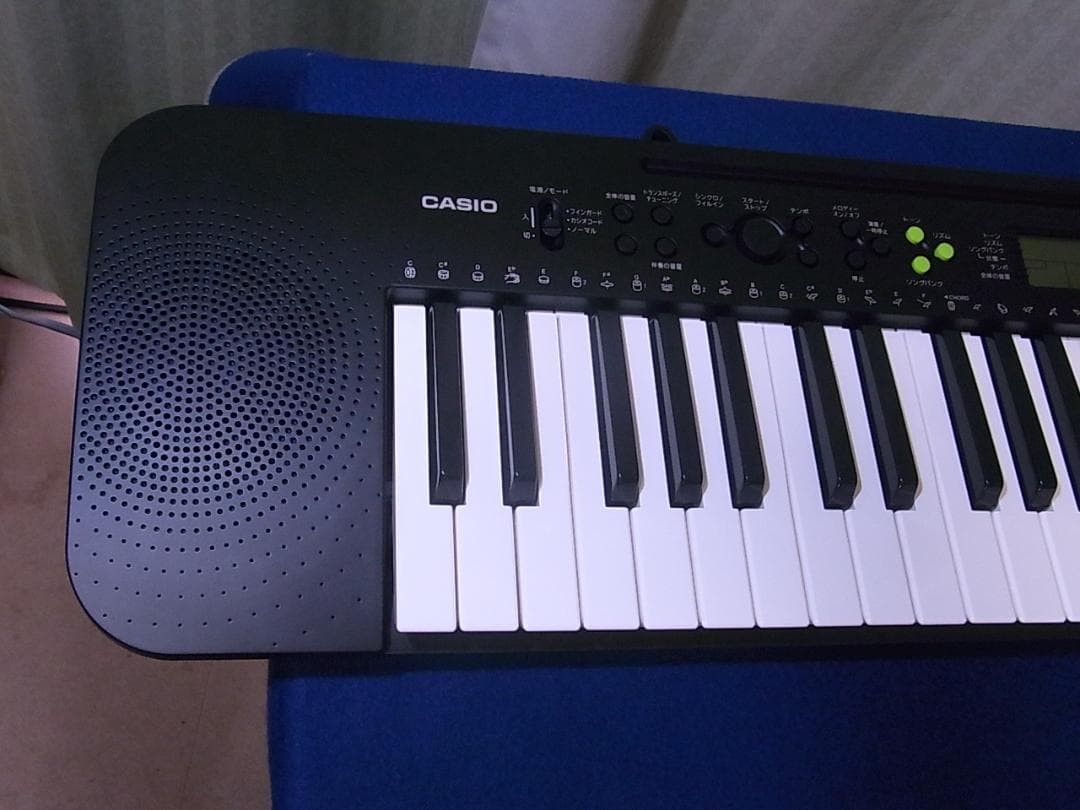 sh※t　CASIO カシオ キーボード CTK-240 新品