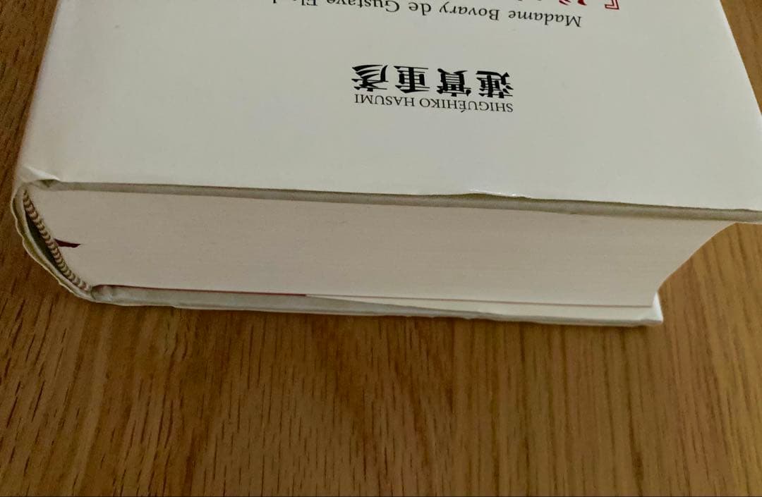 「ボヴァリー夫人」論 蓮實重彦