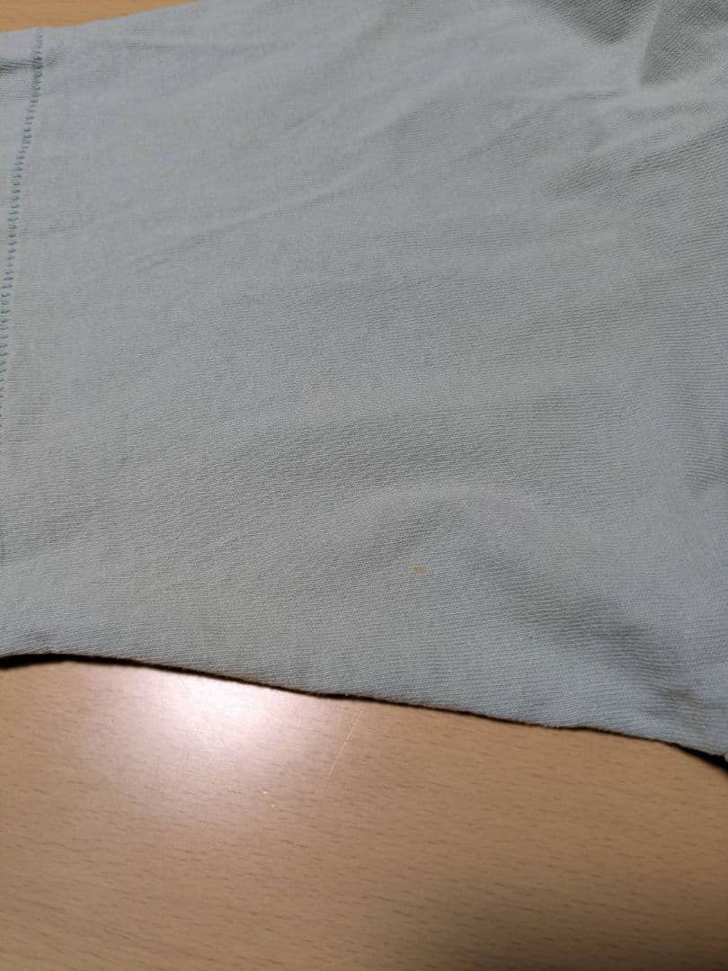 OLD STUSSY 白タグ Tシャツ USA製