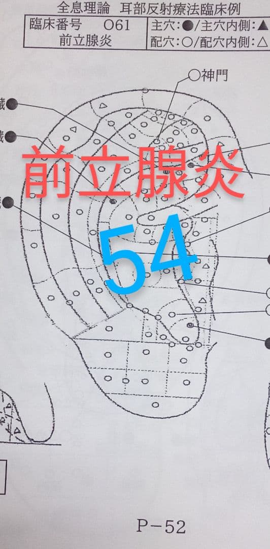 Bc:耳つぼ：耳臨床54例集+臓器/躯体ラミネート+解説冊子/プリント13set
