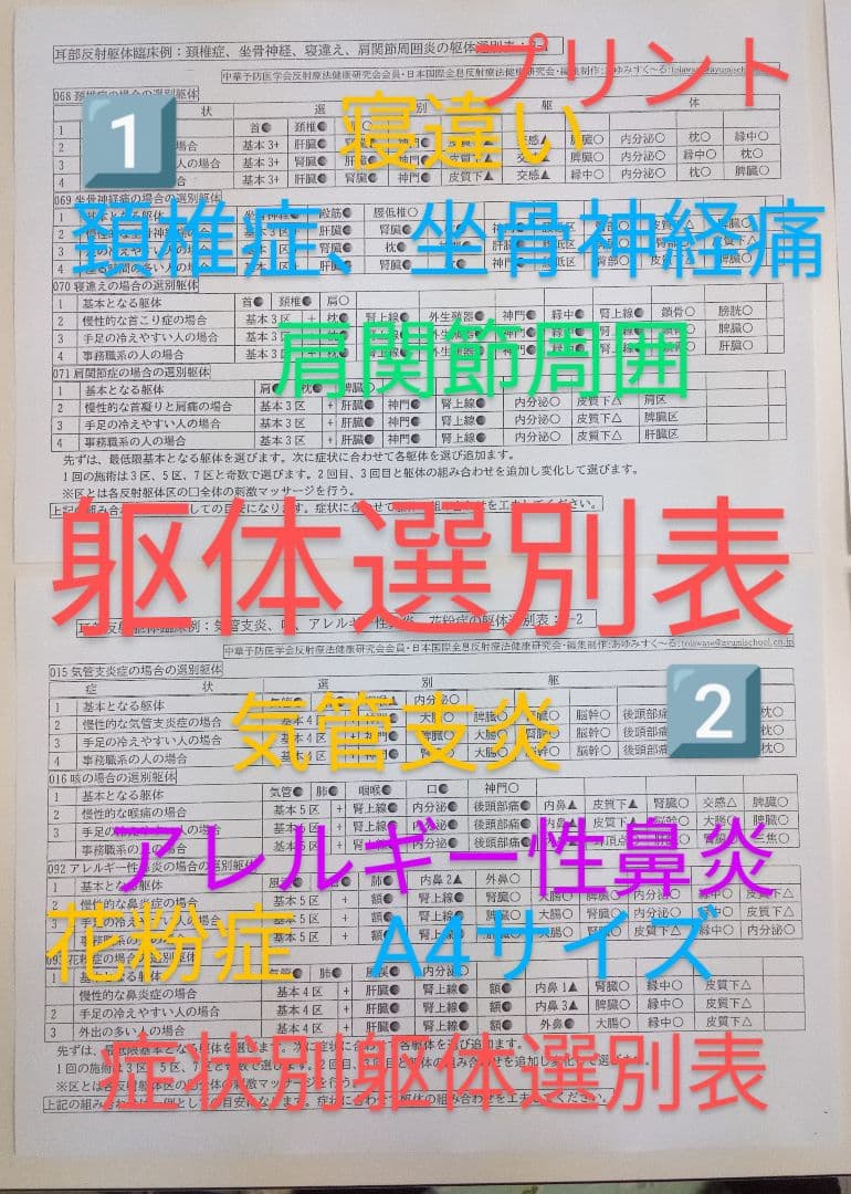 Bc:耳つぼ：耳臨床54例集+臓器/躯体ラミネート+解説冊子/プリント13set