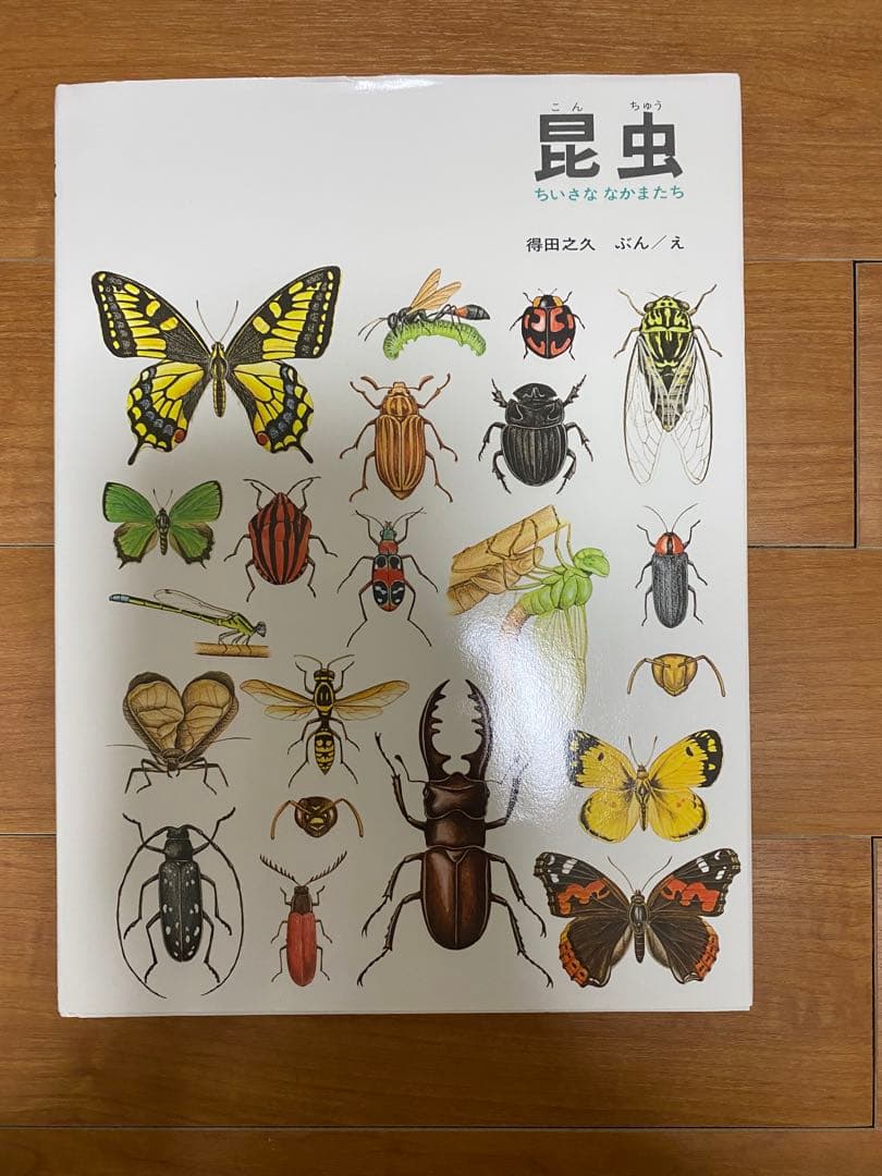 自然に関する絵本セット　12冊セット　福音館書店　全シリーズ
