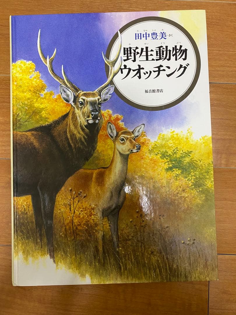 自然に関する絵本セット　12冊セット　福音館書店　全シリーズ