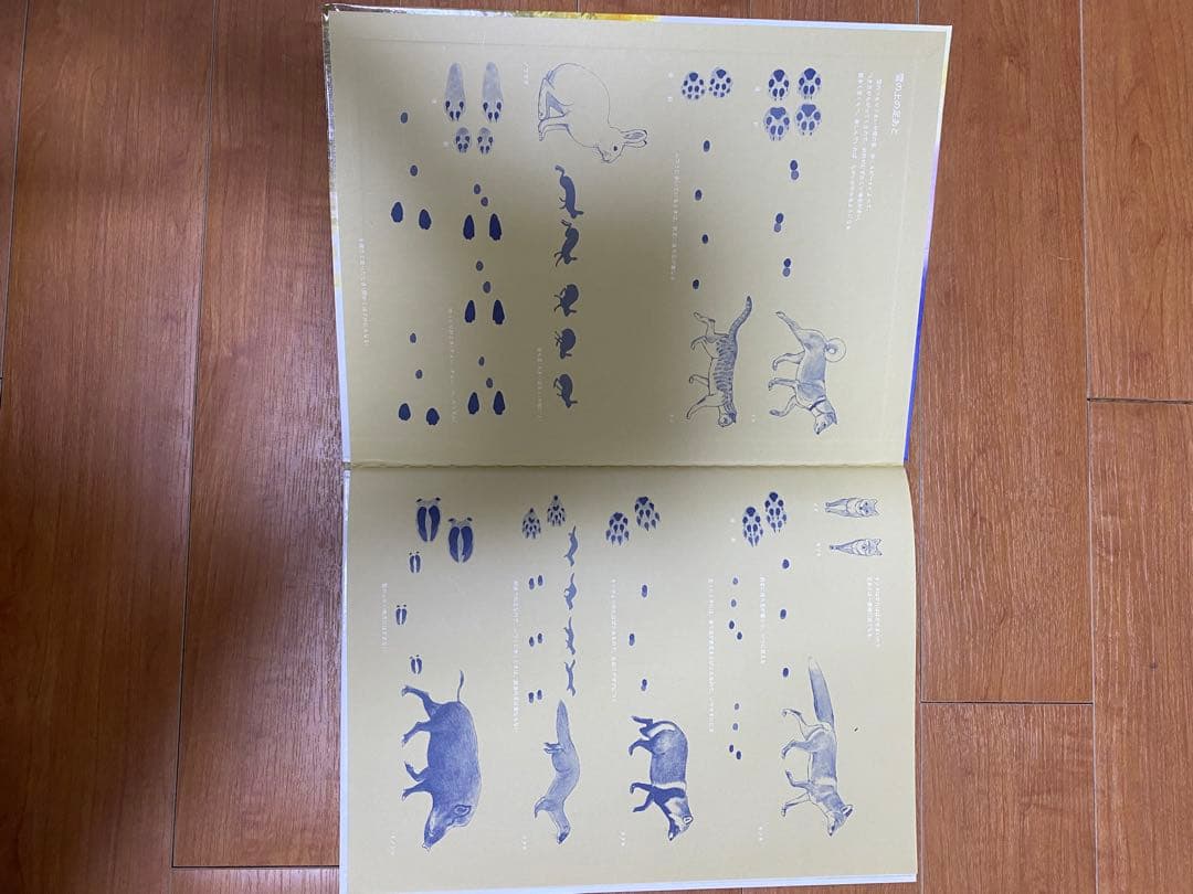 自然に関する絵本セット　12冊セット　福音館書店　全シリーズ
