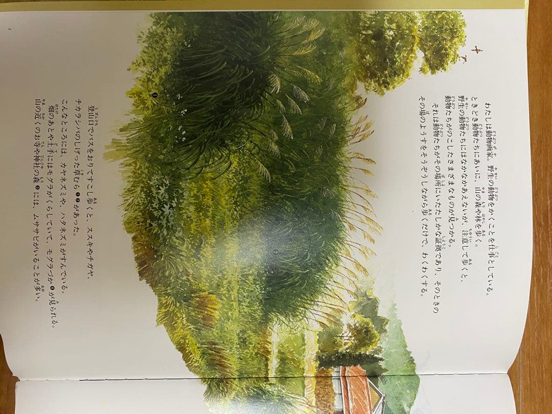 自然に関する絵本セット　12冊セット　福音館書店　全シリーズ