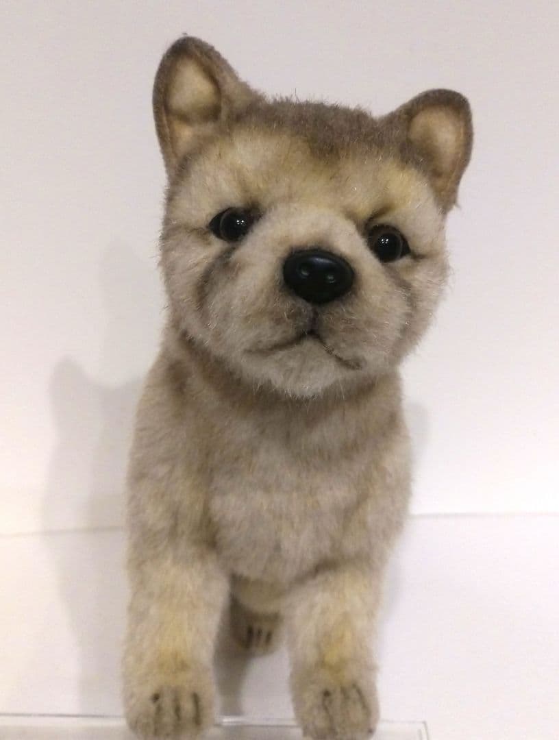 HANSA ハンサ リアル ぬいぐるみ 仔オオカミ 狼 オオカミ 仔 子