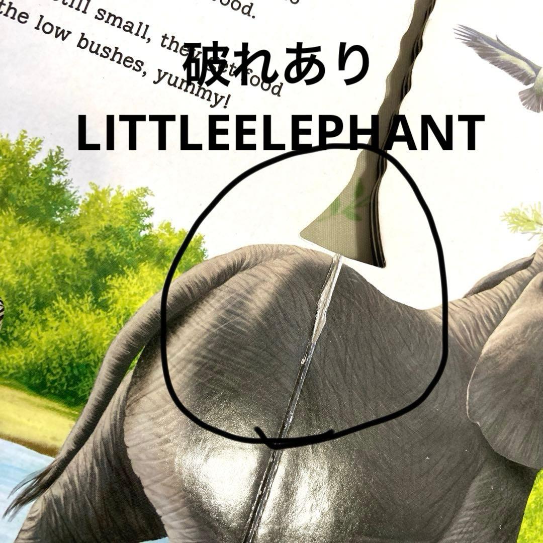 英語　絵本　14冊＋2冊　まとめ　洋書