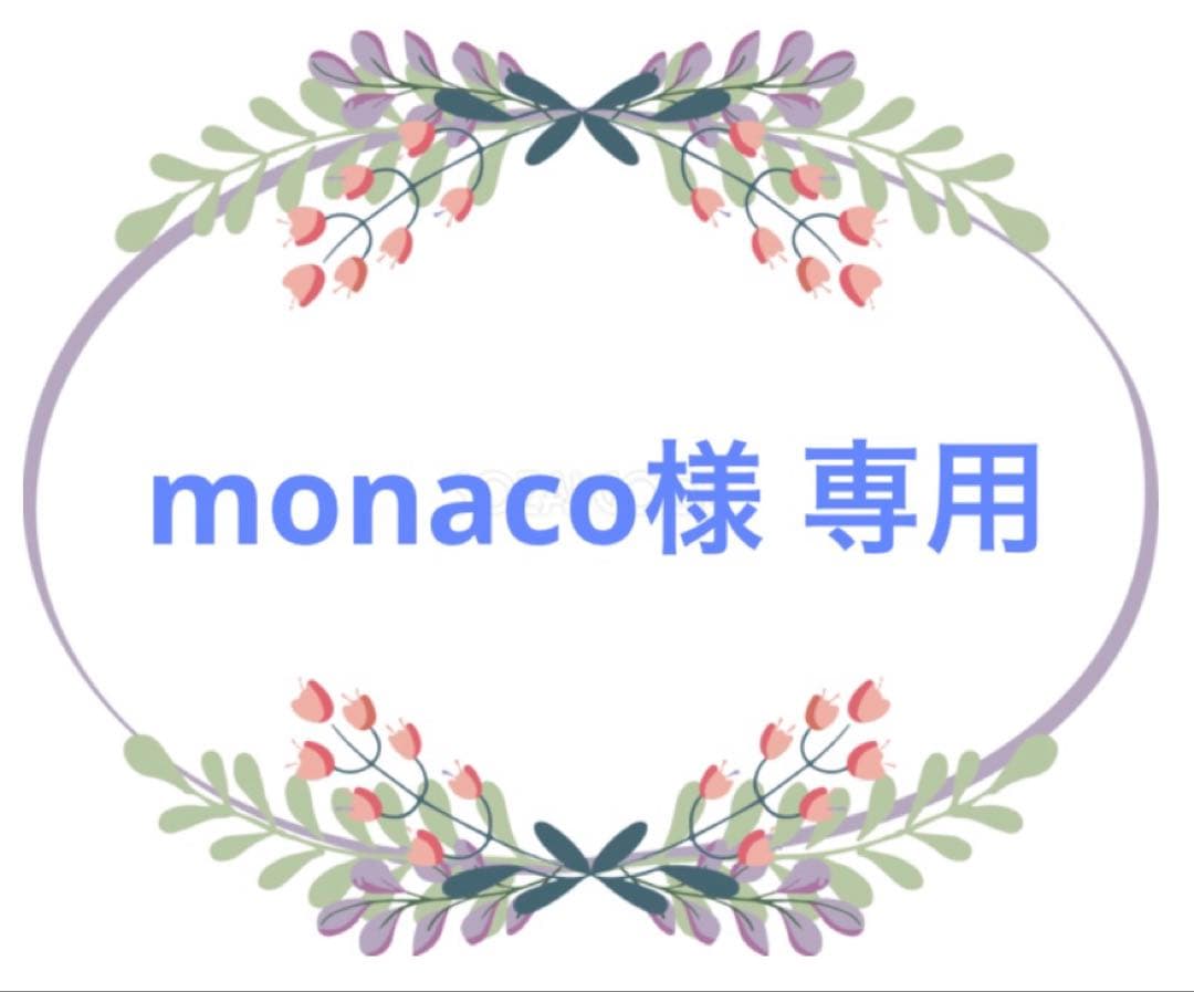 momoco 様　ホワイトリード&カラー