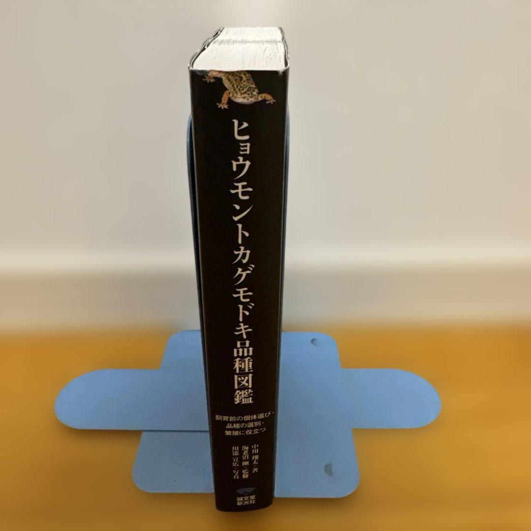 261 ヒョウモントカゲモドキ品種図鑑 = LEOPARD GECKO Morp