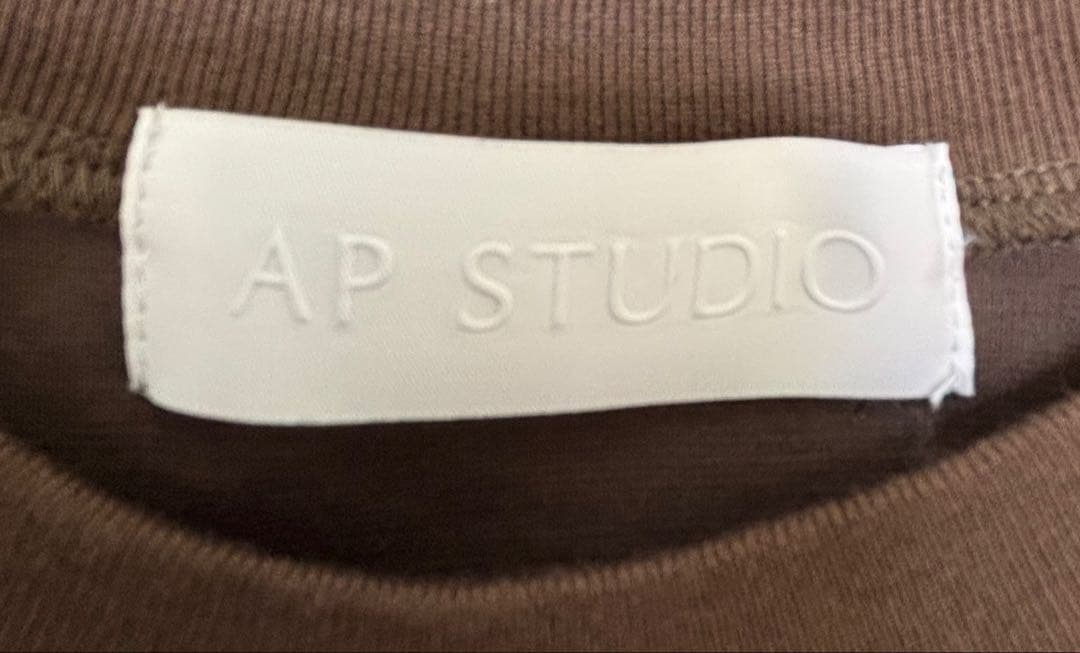 極美品　AP STUDIO コンパクトTシャツ