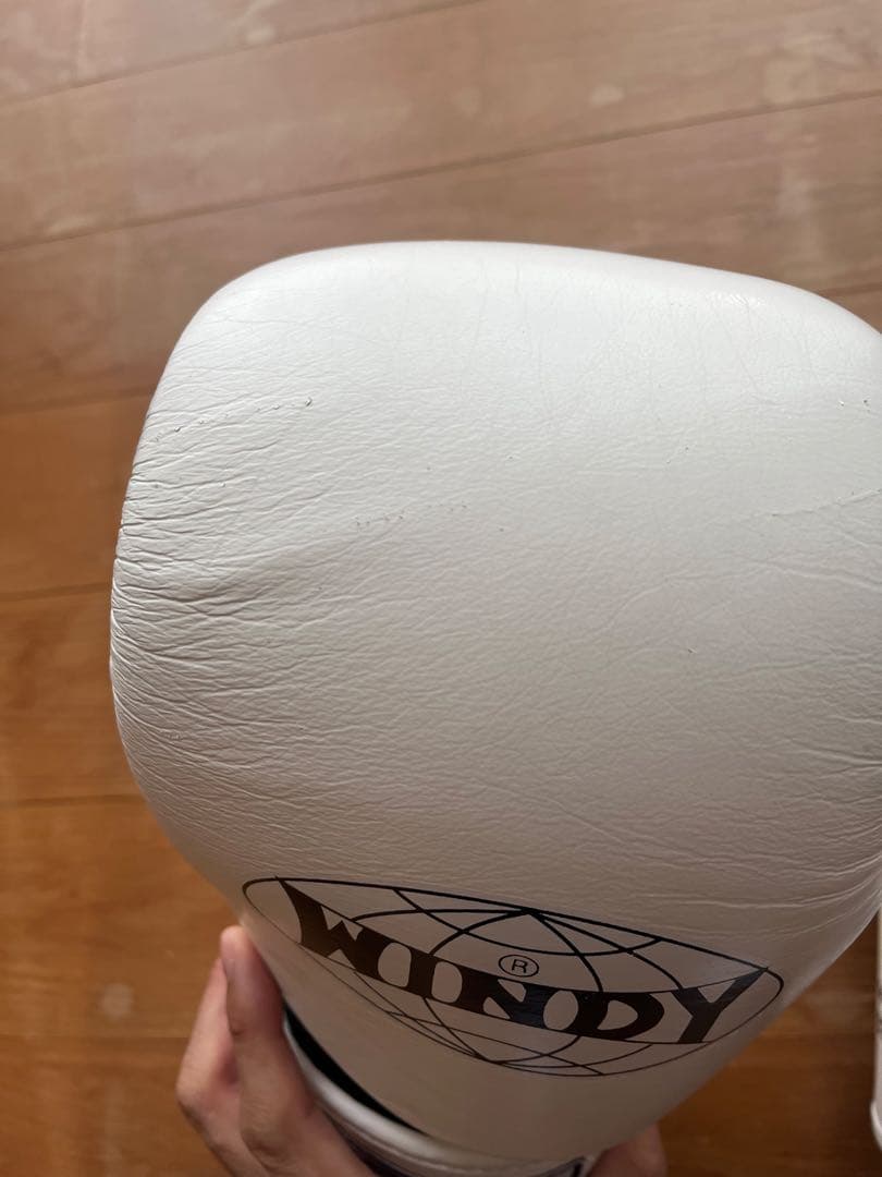 WINDY グローブ　14oz