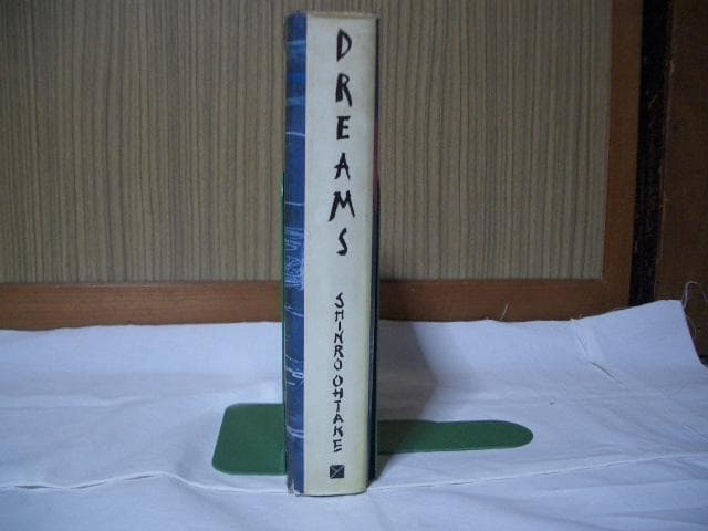 大竹伸朗　DREAMS　ドリームス　夢の記憶