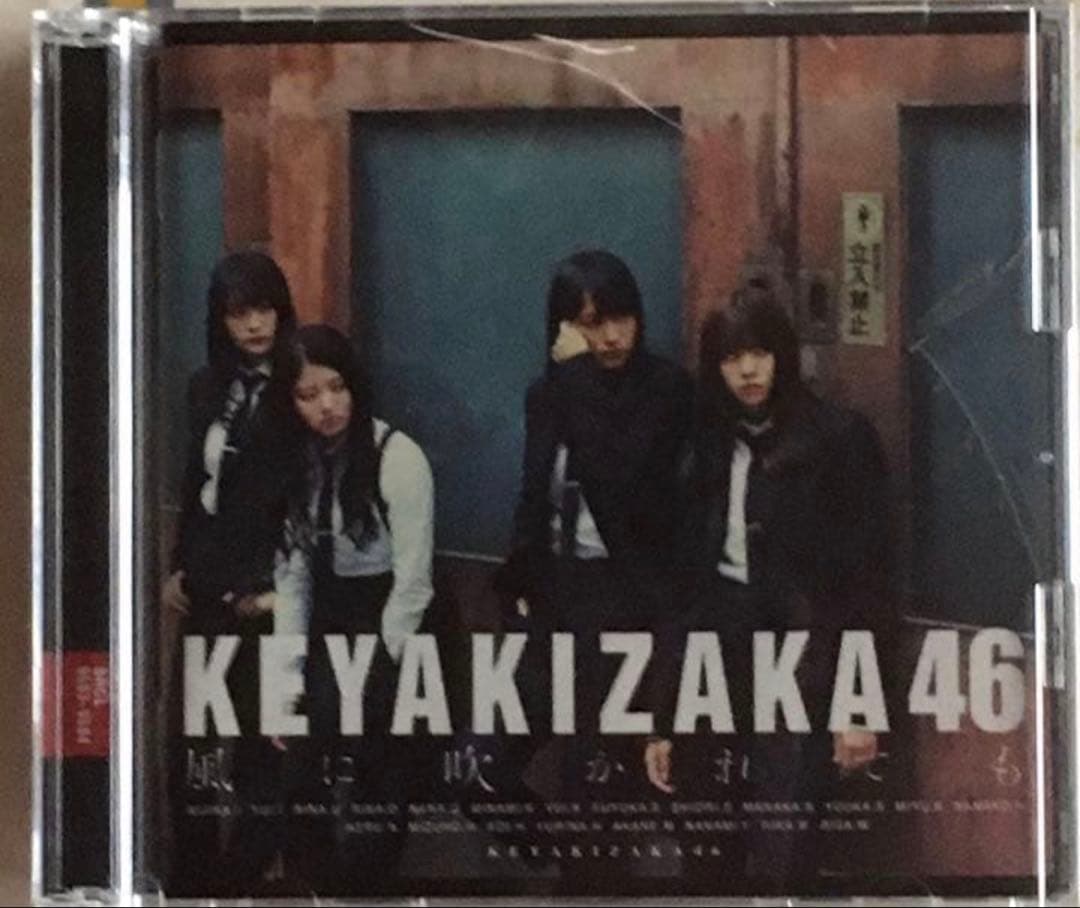 欅坂46・平手友梨奈・CD/DVD/雑誌など