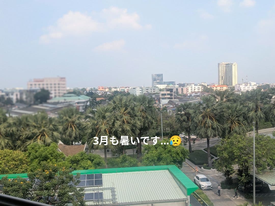 【人気狐】タイのお守りプラクルアン！九尾の狐欲張りSETミドル！恋愛＆金運UP！