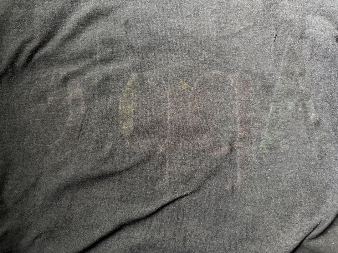 Apple Logo Print Tシャツ ONEITA L 90s