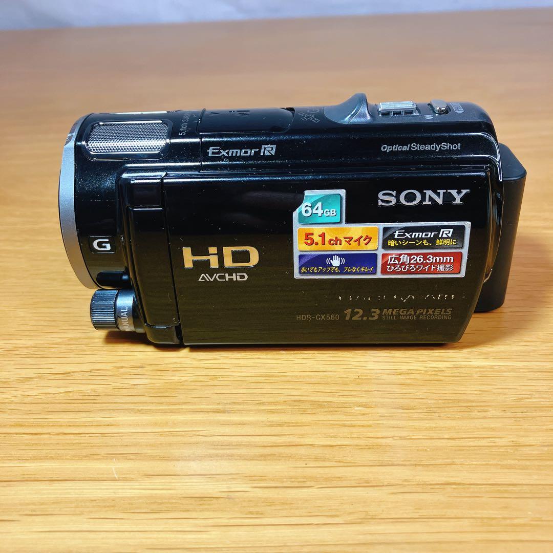ジャンク】SONY HDR-CX560 Handycam