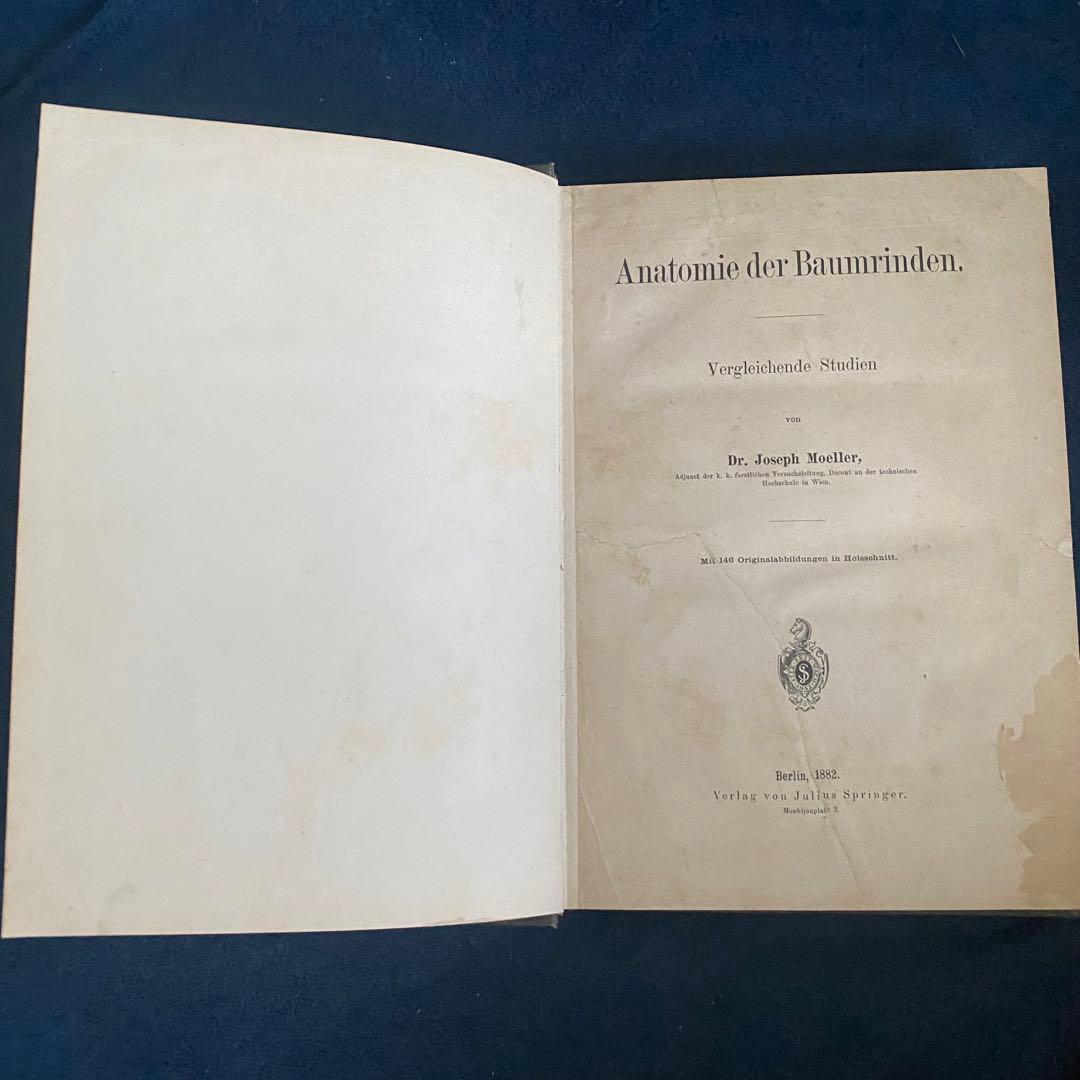 1882年 植物学 ドイツ古書 木の樹皮 解剖学ジョセフ モーラー博士 比較研究