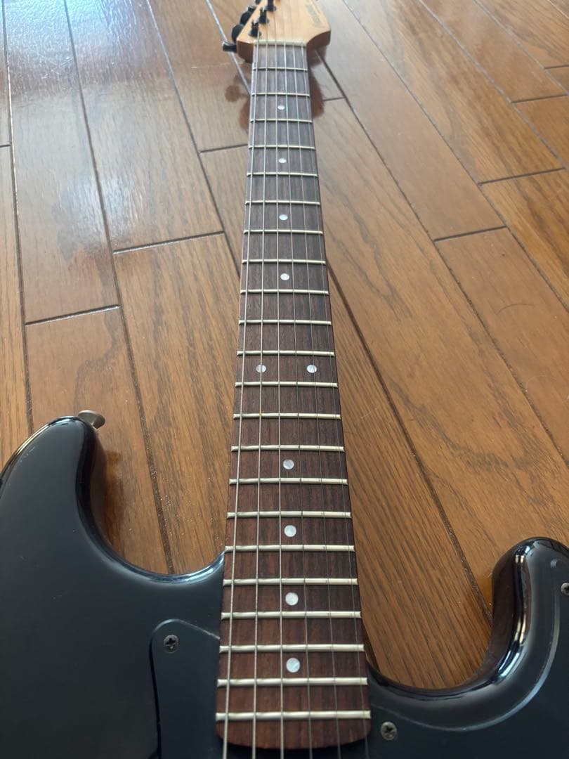 ゆ*た様 FERNANDES フェルナンデス サスティナー付