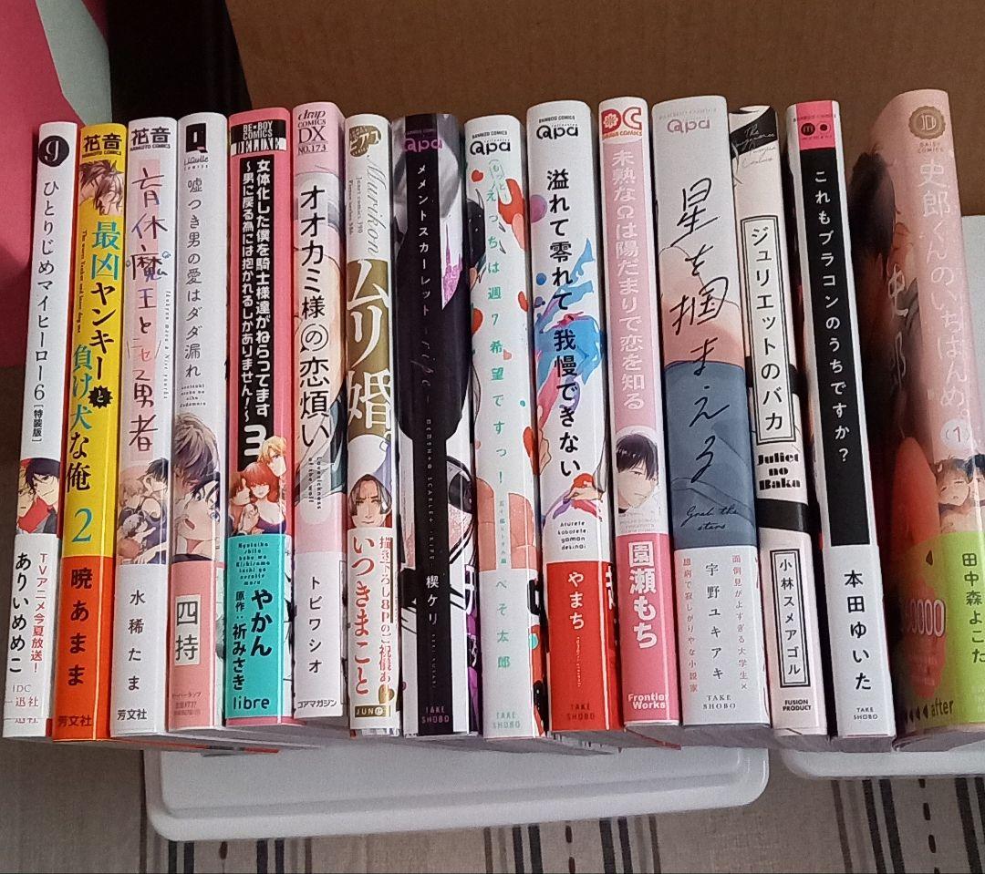 【値下げ】　BLコミック　まとめ売り　67冊　　　園瀬もち　やまち　楔ケリ