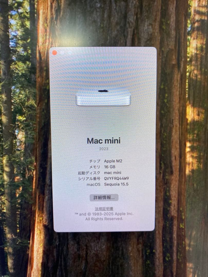 Macデスクトップ Apple Mac mini 2023 M2 16GB/512GB
