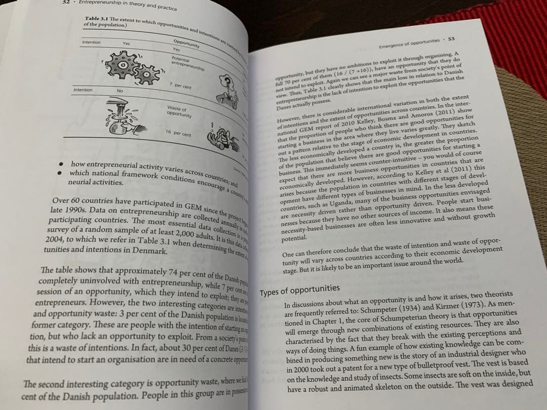 洋書 Entrepreneurship in Theory and Practice