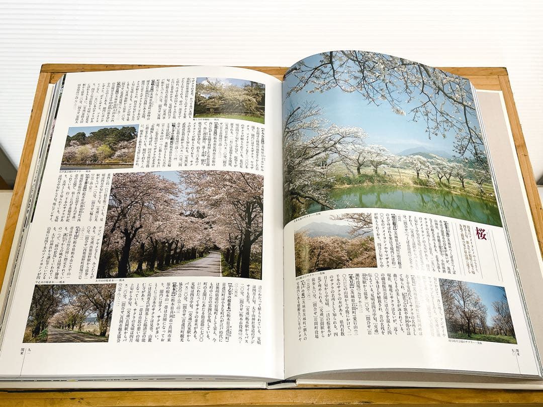 植物図鑑（四季花ごよみ）全5冊 講談社 カバー・帯付き