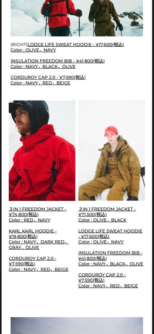 Woolrich ビブパンツ Lサイズ スノーボード・スキー