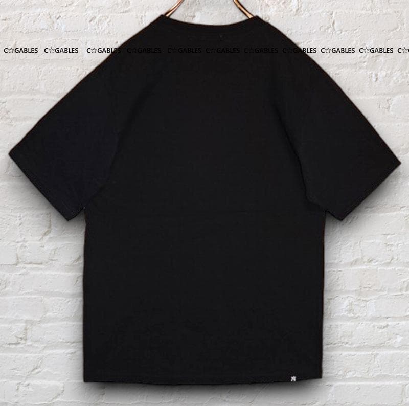ヒステリックグラマー　和紙天竺素材　ヒスガールロゴ　Tシャツ 完売商品 レア