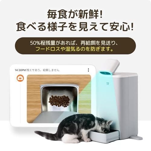 猫用スマート見守りロボット 自動給餌器