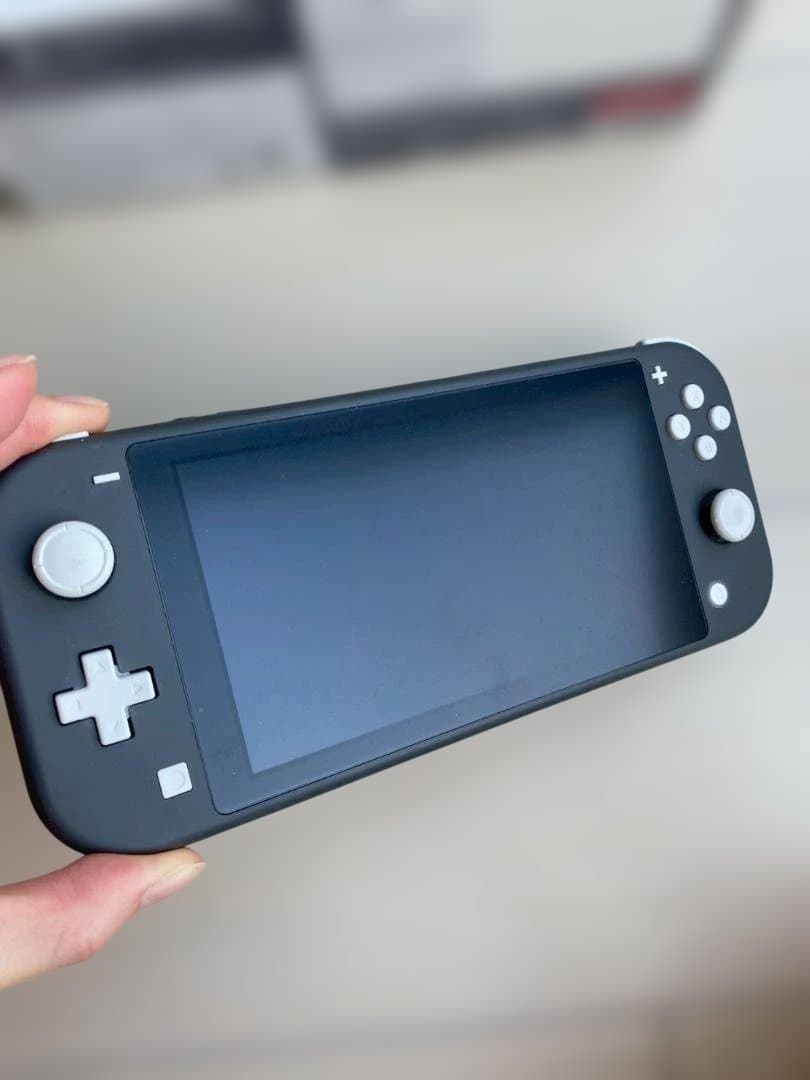 ヒ*ゲ様 Nintendo Switch Lite グレー 本体