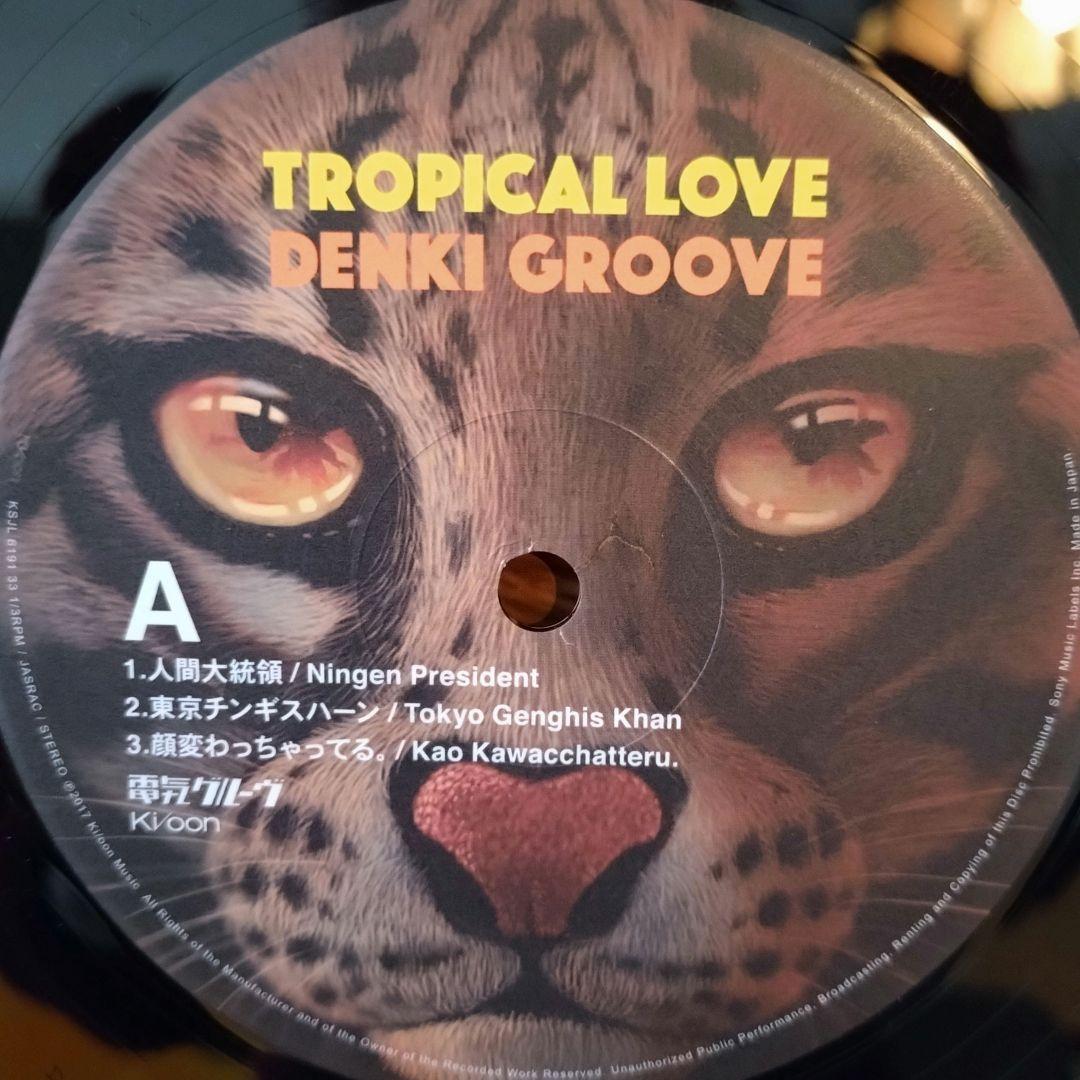 TROPICAL LOVE / 電気グルーヴ レコード