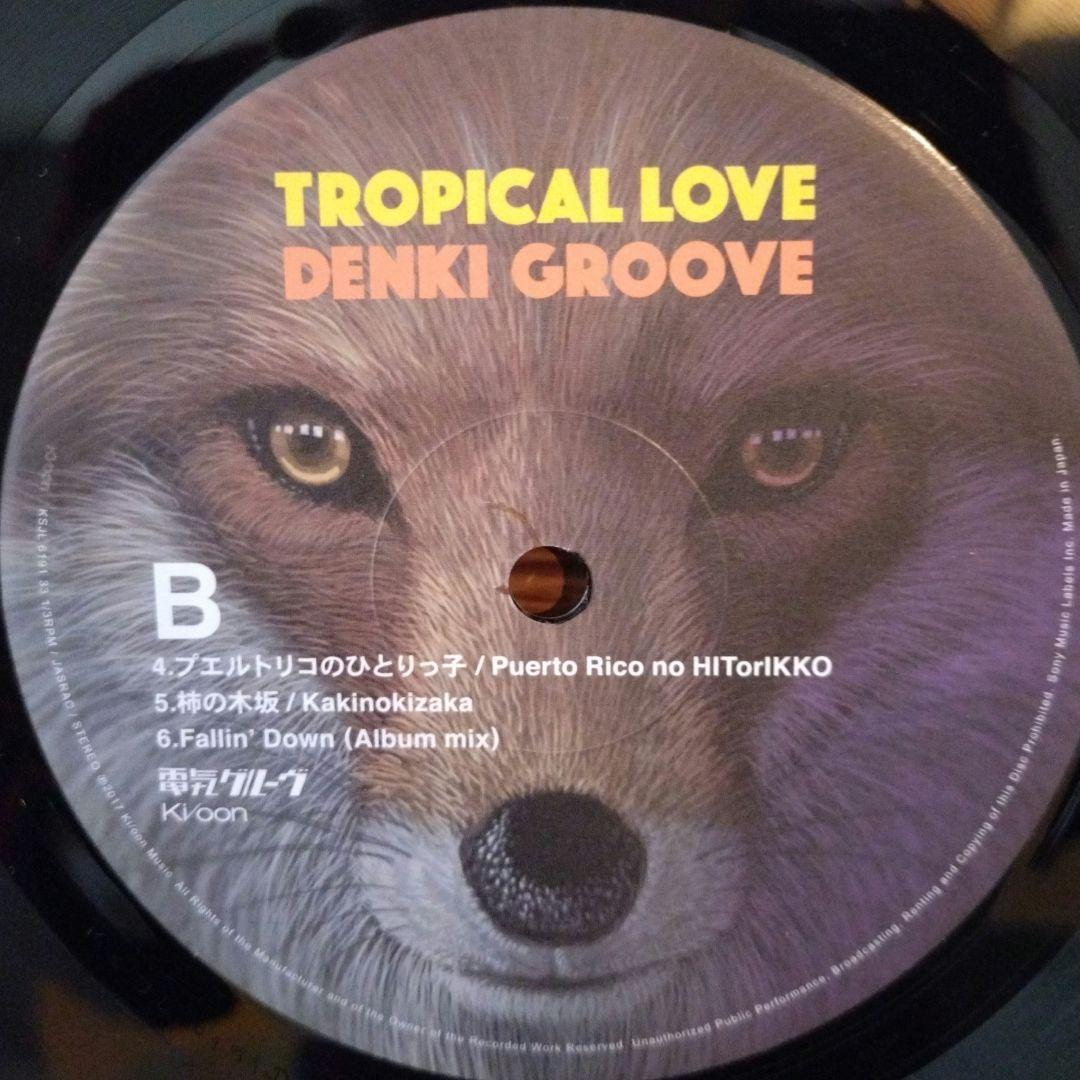 TROPICAL LOVE / 電気グルーヴ レコード